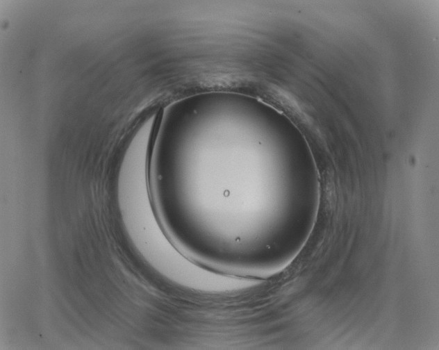 X0000063490211200601231420