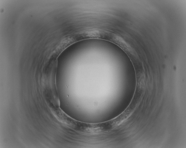 X0000063490213200601231420