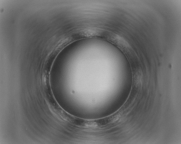 X0000063490214200601231420