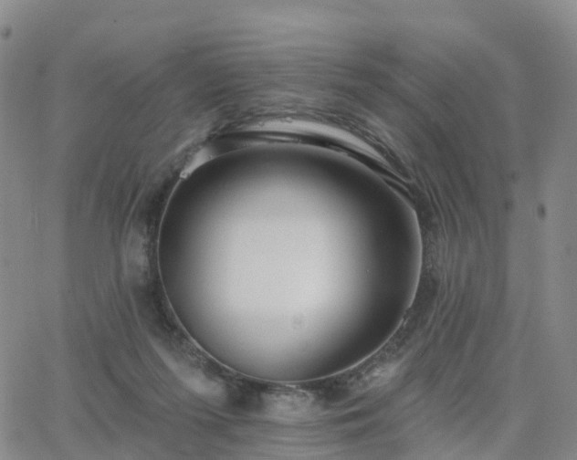 X0000063490215200601231420