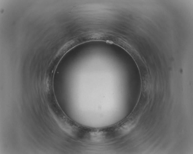 X0000063490216200601231420