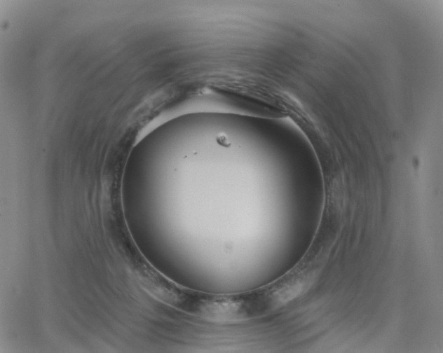 X0000063490217200601231420