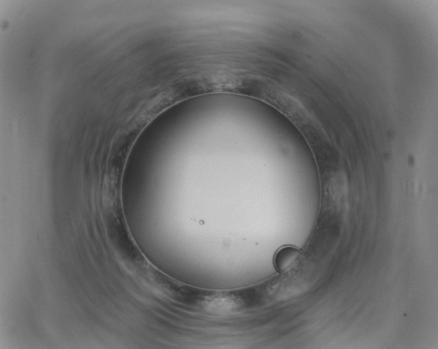 X0000063490218200601231420