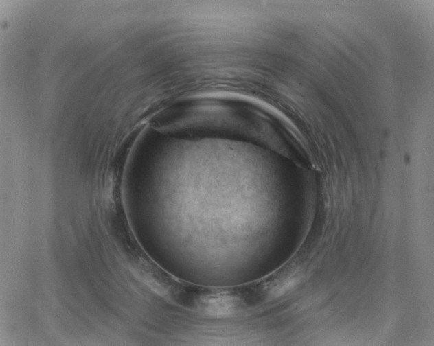 X0000063490219200601231420