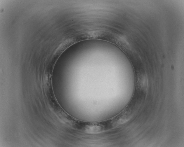 X0000063490220200601231420