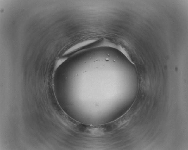 X0000063490221200601231420