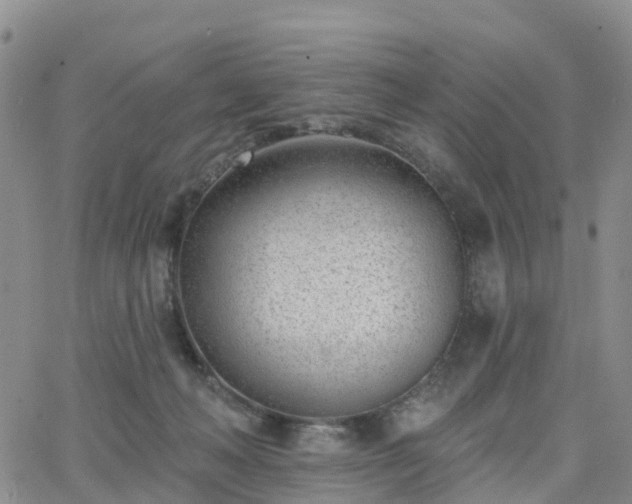 X0000063490222200601231420