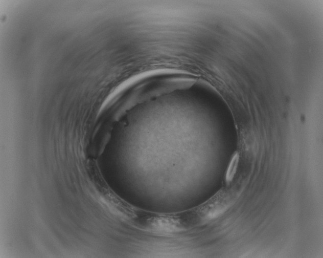 X0000063490223200601231420