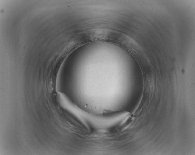 X0000063490224200601231420