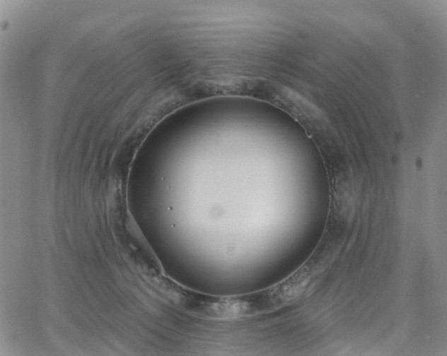 X0000063490225200601231420