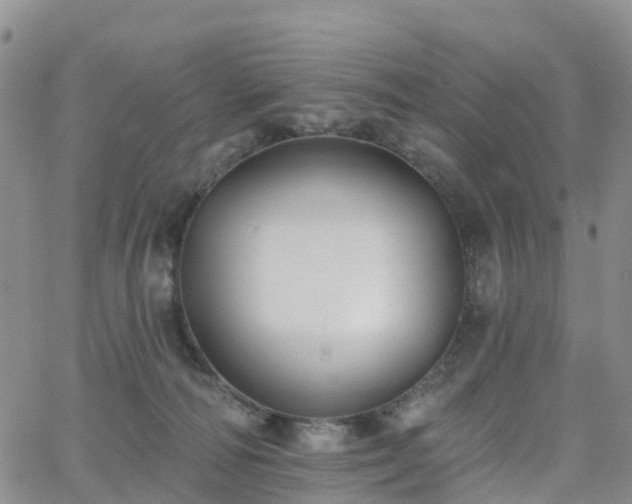 X0000063490226200601231420