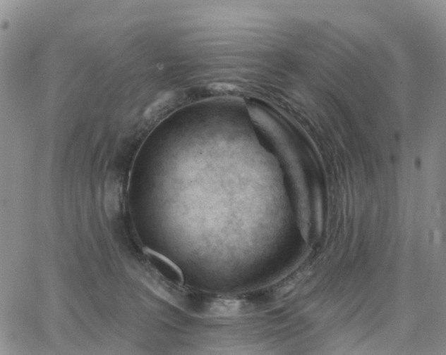 X0000063490227200601231420