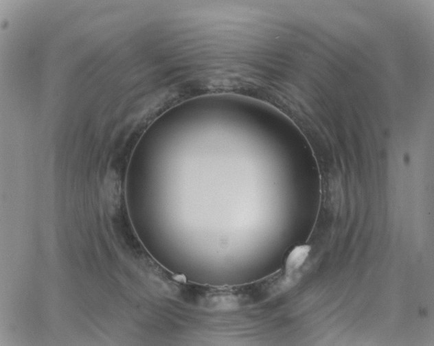 X0000063490228200601231420