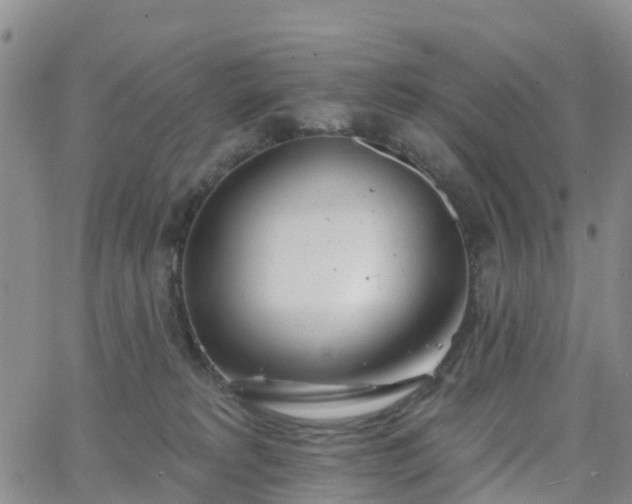 X0000063490229200601231420