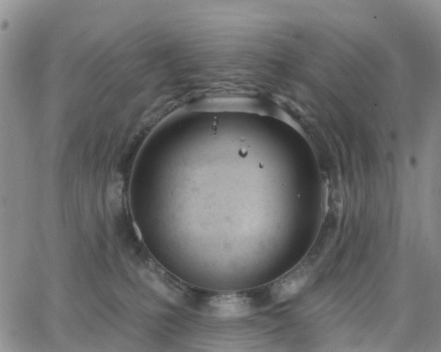 X0000063490231200601231420