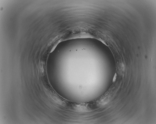 X0000063490232200601231420