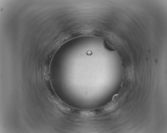 X0000063490234200601231420