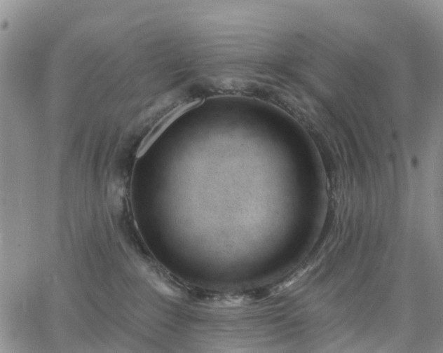 X0000063490235200601231420