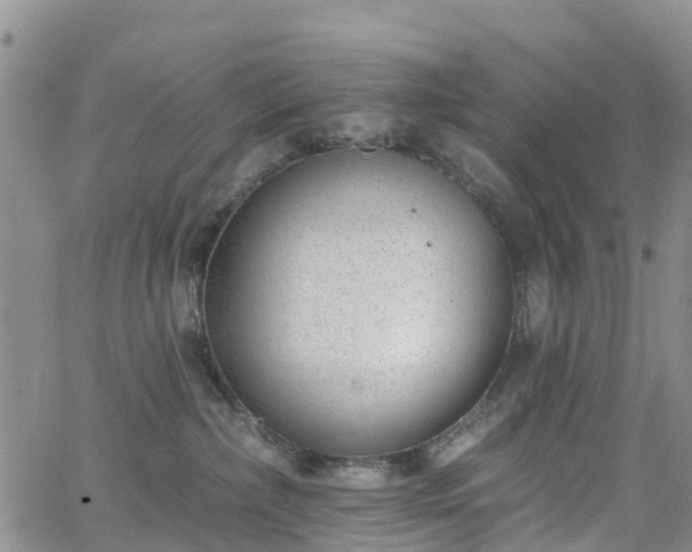 X0000063490236200601231420