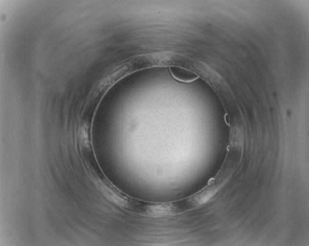 X0000063490238200601231420