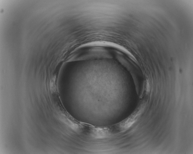 X0000063490239200601231420