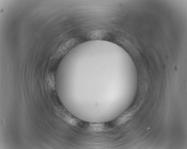 X0000063490240200601231420