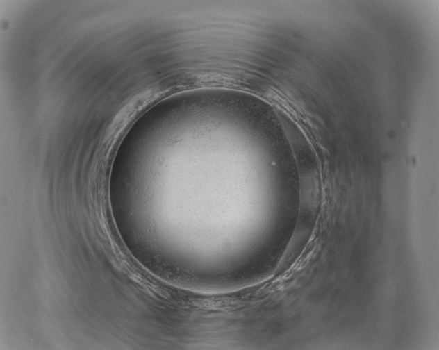 X0000063490241200601231419