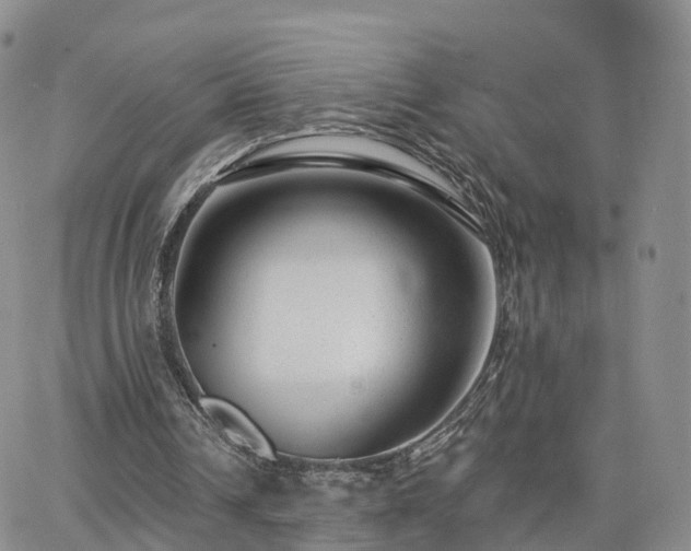 X0000063490242200601231419