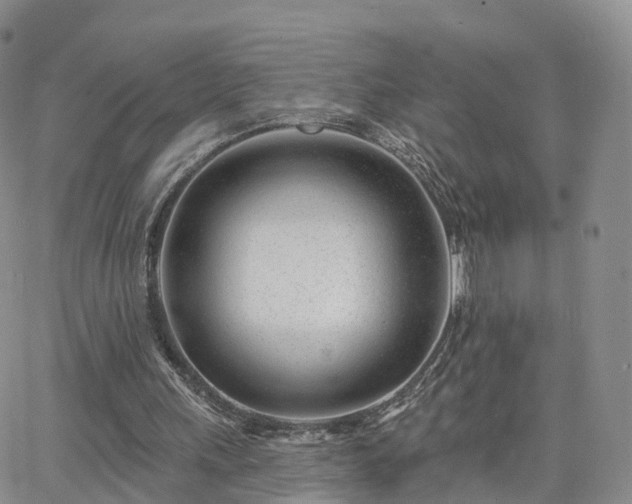 X0000063490243200601231419