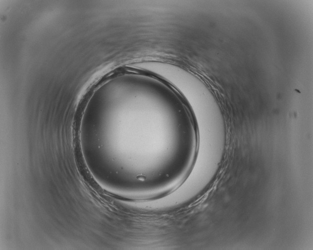 X0000063490244200601231419