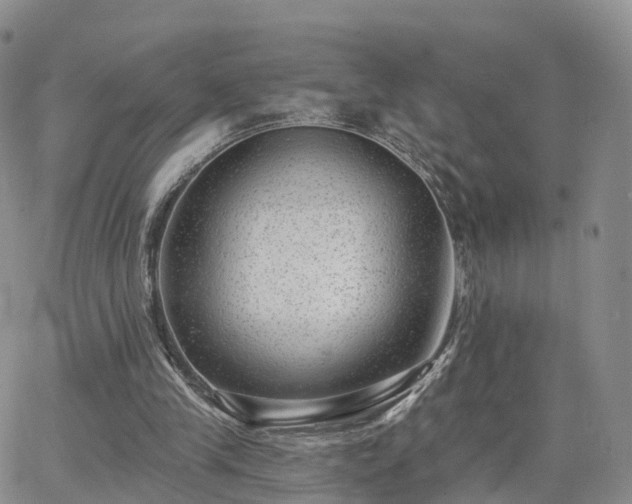 X0000063490245200601231419