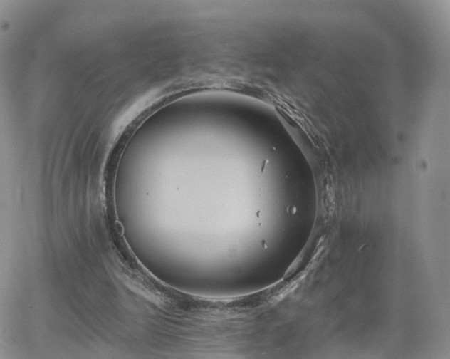 X0000063490246200601231419