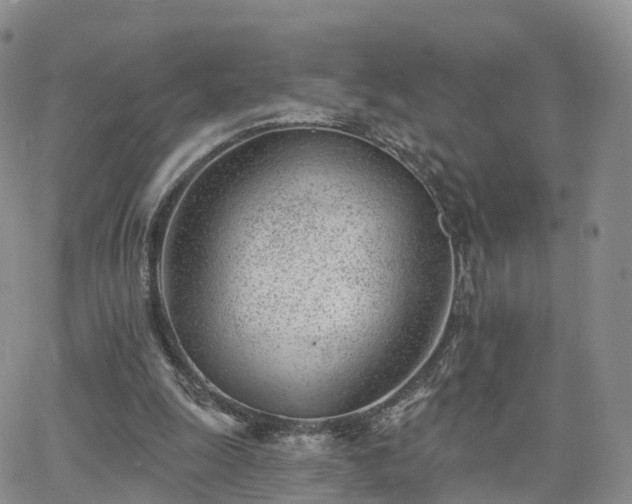 X0000063490247200601231419