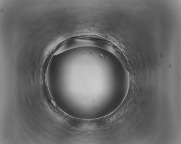 X0000063490248200601231419