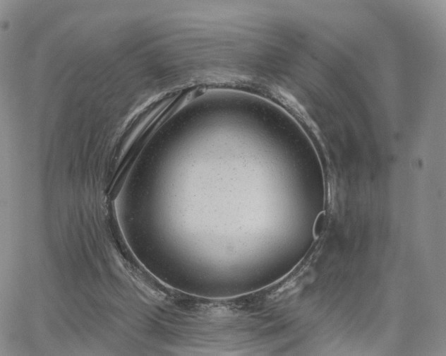 X0000063490249200601231419