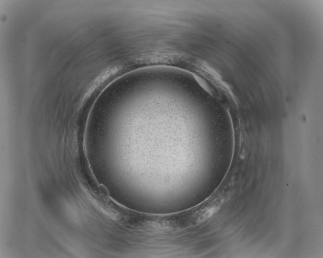 X0000063490250200601231419