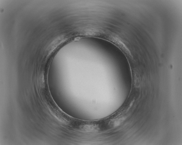 X0000063490251200601231419