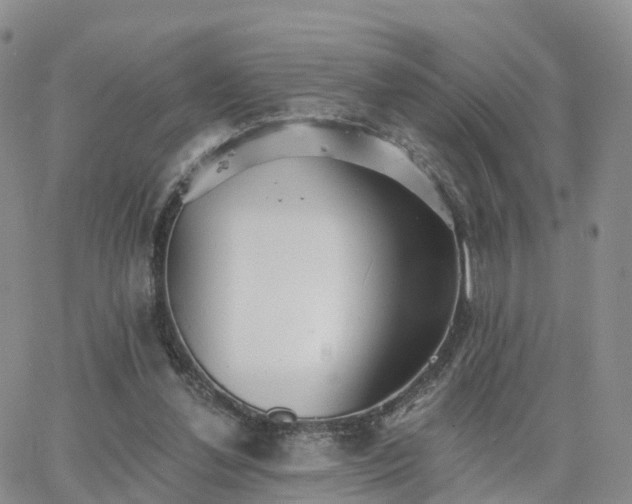 X0000063490252200601231419