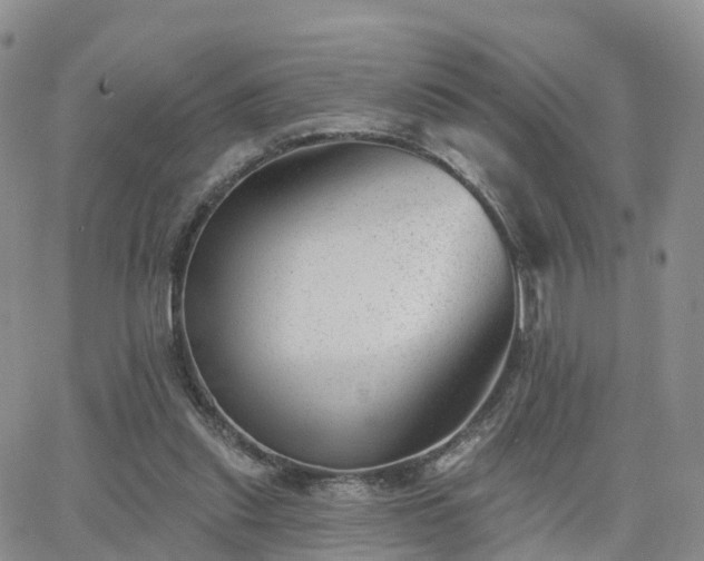 X0000063490253200601231419