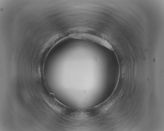 X0000063490254200601231419