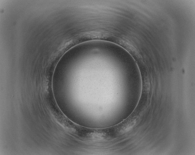 X0000063490255200601231419