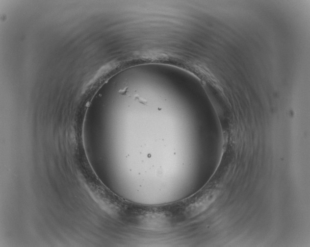 X0000063490256200601231419