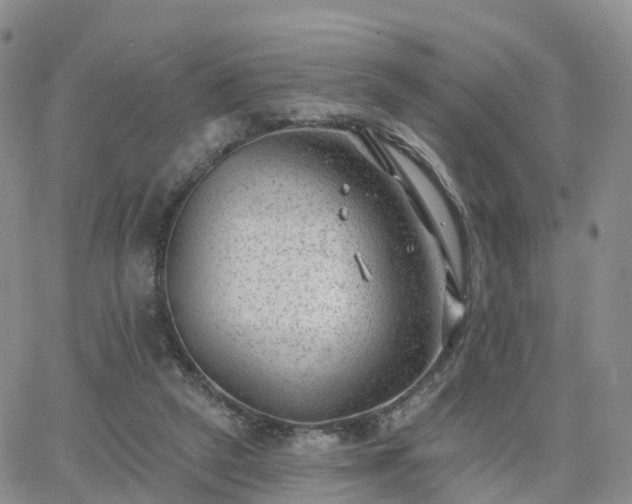 X0000063490257200601231419