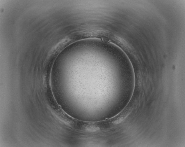 X0000063490258200601231419