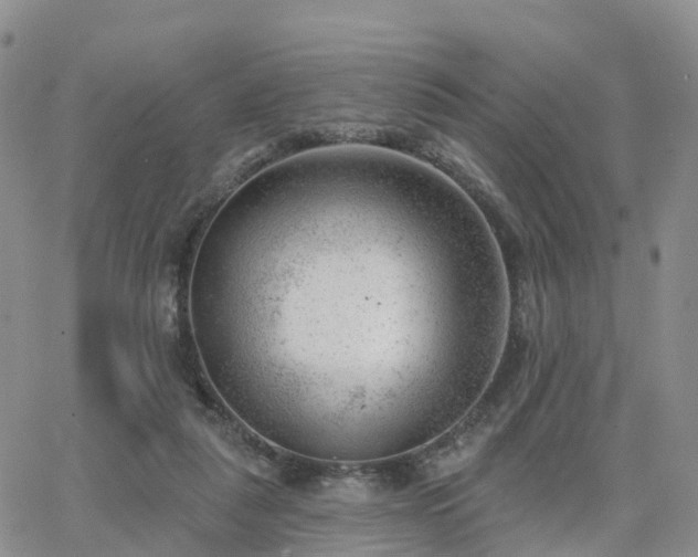 X0000063490259200601231419