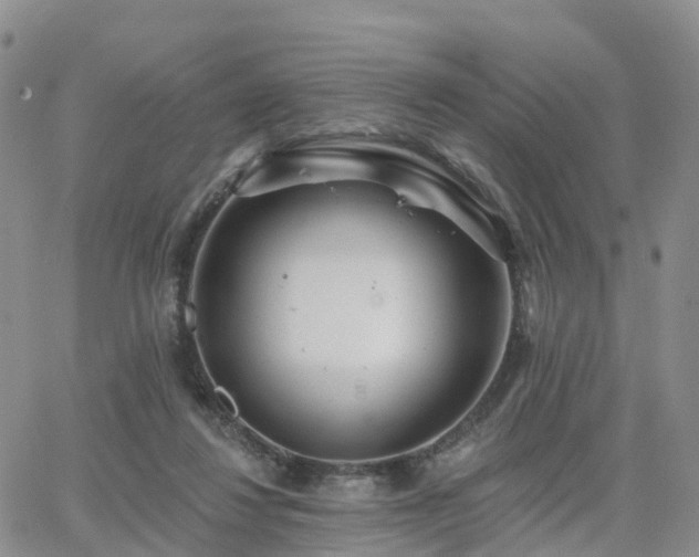 X0000063490260200601231419