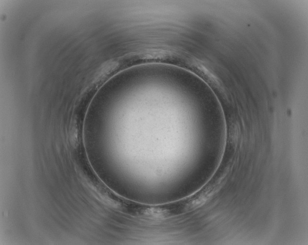 X0000063490261200601231419