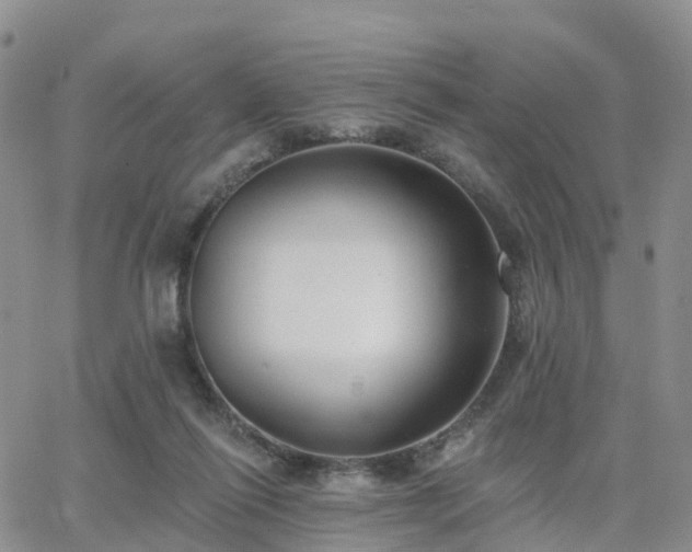 X0000063490262200601231419