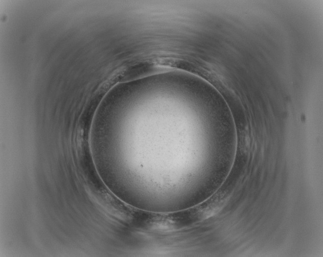 X0000063490263200601231419