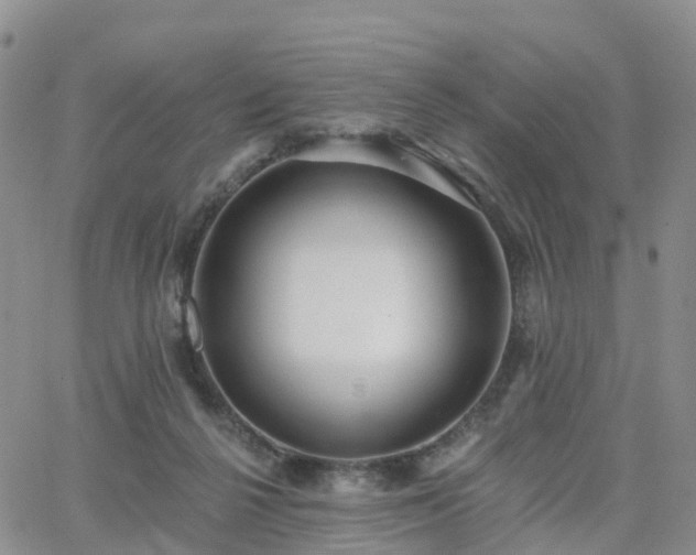 X0000063490264200601231419